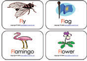 digraph-fl-mini-flashcards